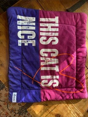 Cat Nap Mat - Purple & Pink Plush Pet Bed